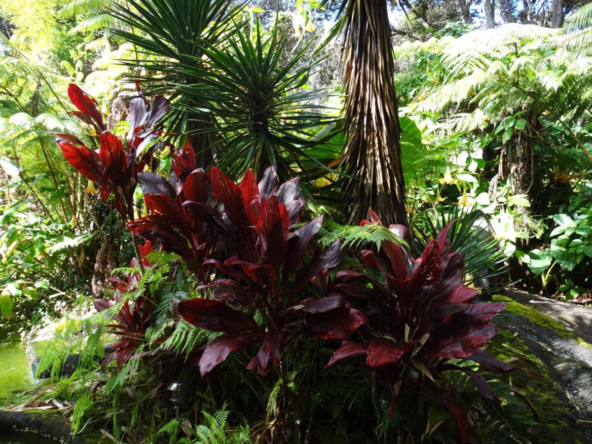 Chalet Kilauea Volcano Luaran gambar