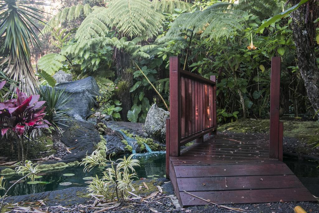 Chalet Kilauea Volcano Bilik gambar